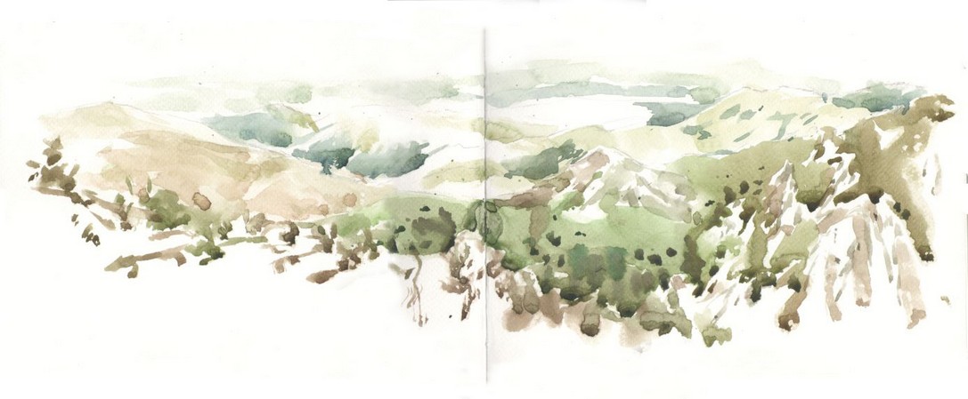 Quebrada del Condorito, 2020